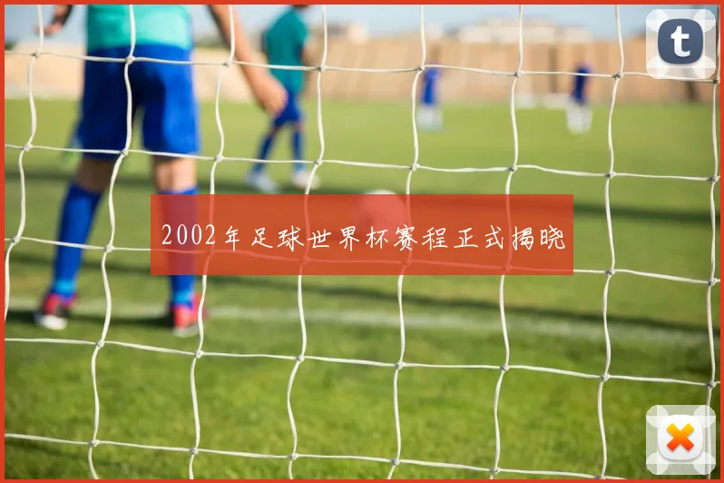 2002年足球世界杯赛程正式揭晓